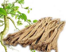 bài thuốc chữa hậu COVID-19