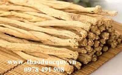 Bài thuốc trị đau dạ dày