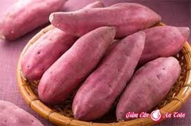 Một số bài thuốc từ khoai lang