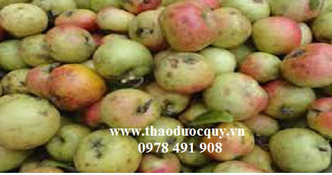 Món ăn thuốc cho người bị xơ vữa mạch máu