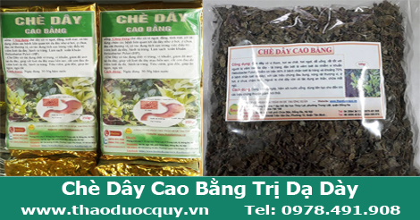 Chè Dây Cao Bằng
