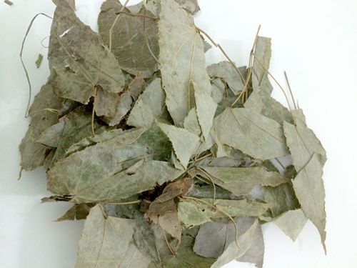 Dâm dương hoắc tăng cường sinh lý