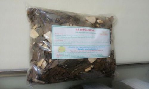 Lá Hồng Rừng trị mụn