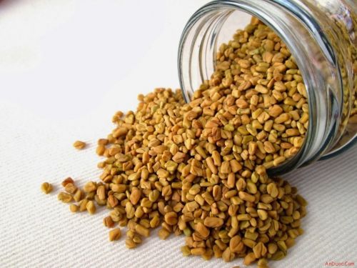 Hạt methi - niềm hi vọng của bệnh nhân tiểu đường