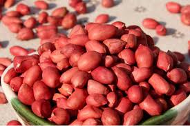 Lợi ích sức khỏe tuyệt vời từ củ lạc