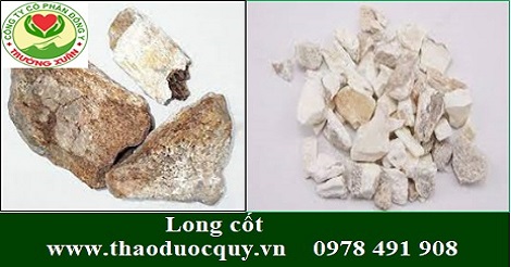 Long cốt