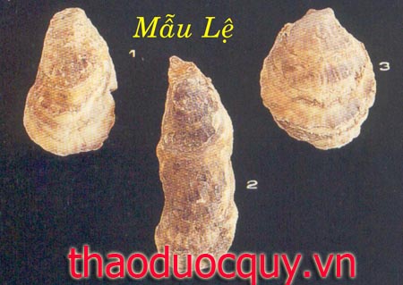 Mẫu Lệ