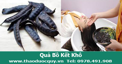 Quả Bồ Kết Khô