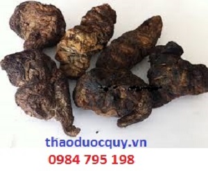 Bài thuốc trị ngứa trong mùa hè