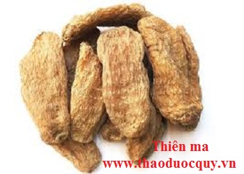 Bài thuốc trị đau nửa đầu