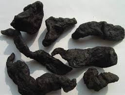 4 bài thuốc trị phì đại tuyến tiền liệt