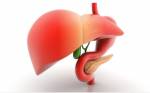 Các bệnh gan nguy hiểm cần phải biết