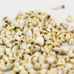 Trị nám và tàn nhang cùng bột ý dĩ