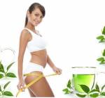 Top 6 thảo dược giảm cân hiệu quả