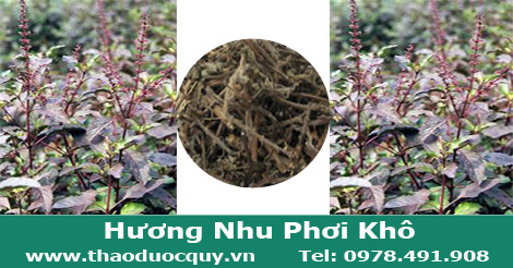 l&aacute; hương nhu kh&ocirc;