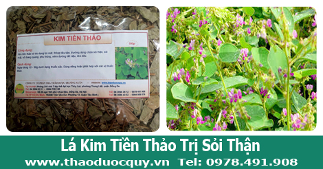 l&aacute; kim tiền thảo phơi kh&ocirc;