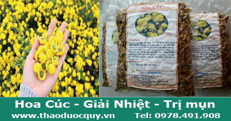 tr&agrave; hoa kim c&uacute;c