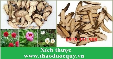 x&iacute;ch thược