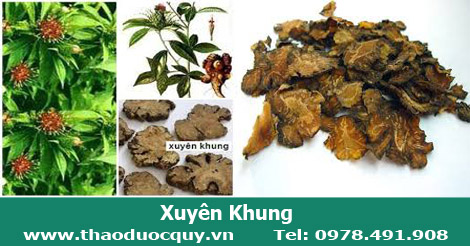 vị thuốc xuyên khung